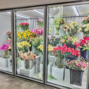 鲜花保鲜库